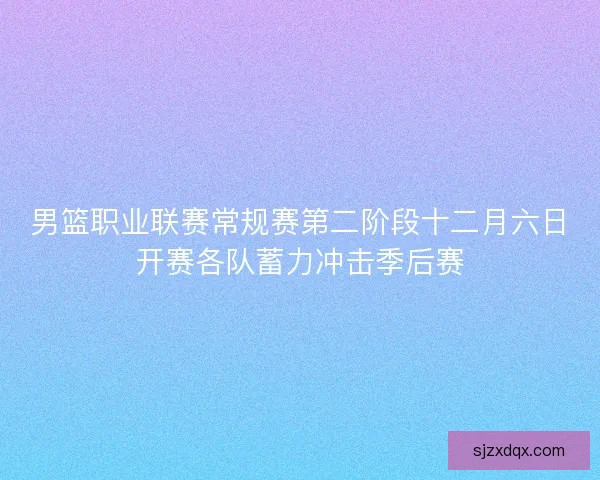 男篮职业联赛常规赛第二阶段十二月六日开赛各队蓄力冲击季后赛
