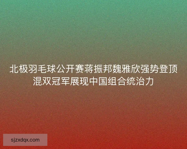 北极羽毛球公开赛蒋振邦魏雅欣强势登顶混双冠军展现中国组合统治力