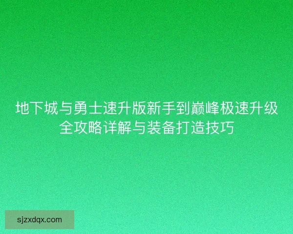 地下城与勇士速升版新手到巅峰极速升级全攻略详解与装备打造技巧