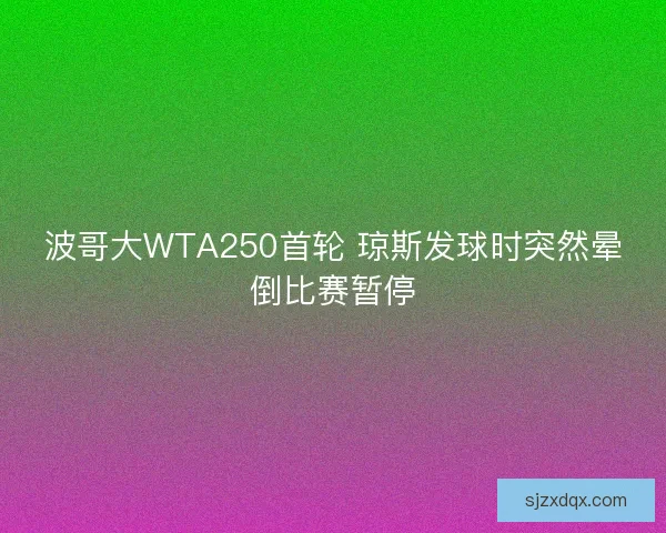 波哥大WTA250首轮 琼斯发球时突然晕倒比赛暂停
